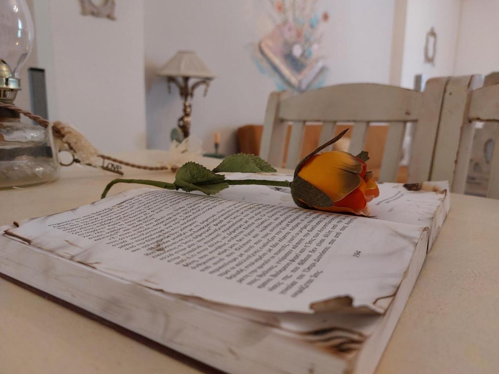 Antique Apartment Afytos Luaran gambar